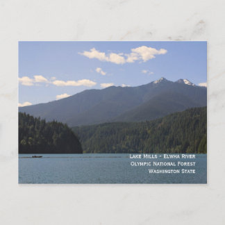 Lake Mills - Elwha River Postcard