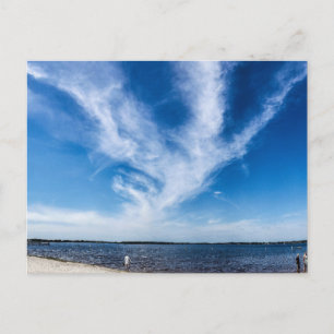 Lake Minneola, Clermont, Florida Postcard