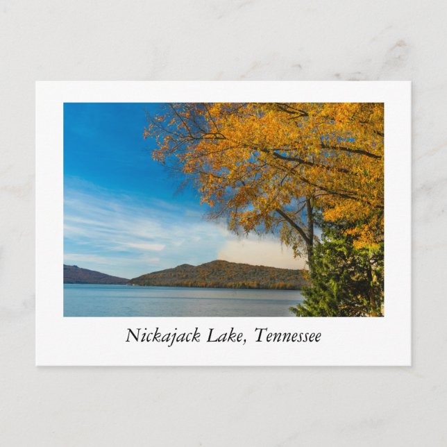 Lake Nickajack Tennessee Postcard (Front)