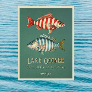 Lake Oconee Georgia striped fish Postcard