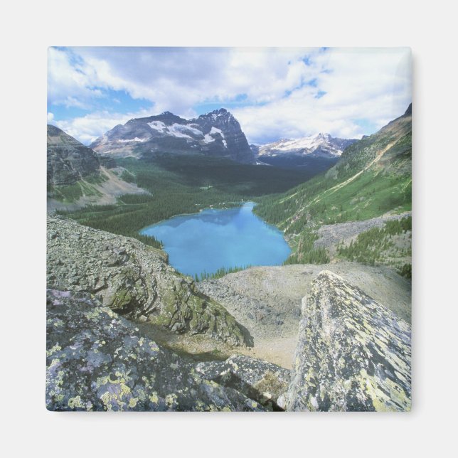 Lake O'Hara, Yoho NP, BC, Canada Magnet (Front)