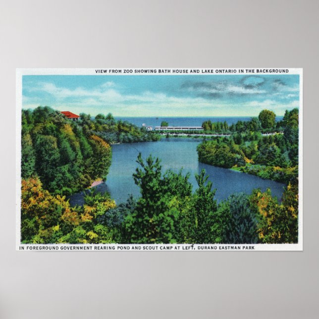 Lake Ontario & Durand Eastman Park Poster (Front)