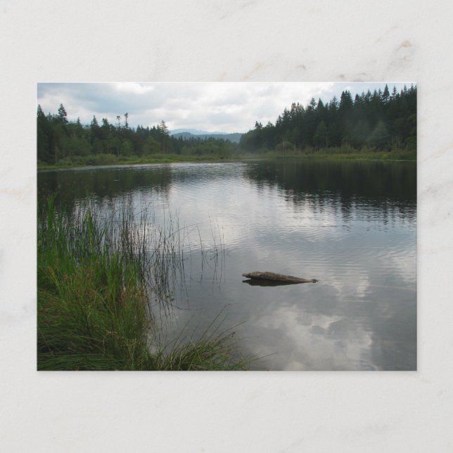 Lake Padden Stillness Postcard (Front)