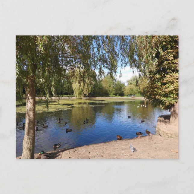 Lake Postcard (Front)