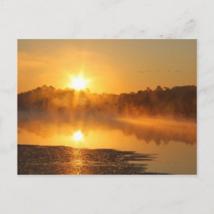 Lake Reflection Sunrise Postcard