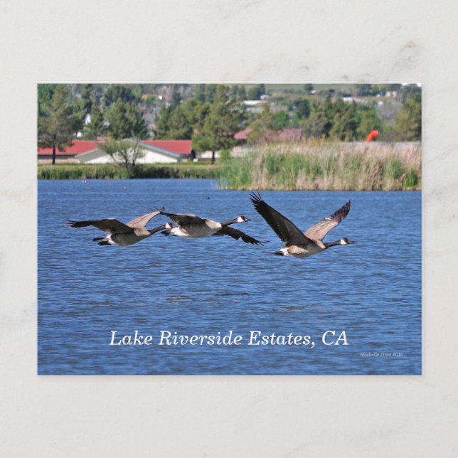 Lake Riverside Estates, CA Postcard (Front)