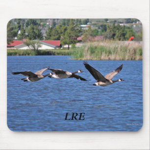 Lake Riverside Estates Mousepad