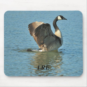 Lake Riverside Estates Mousepad