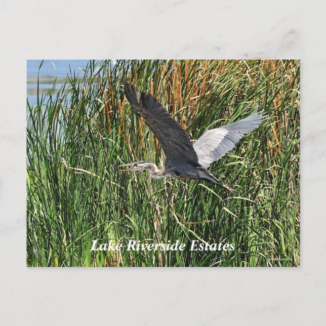 Lake Riverside Estates Postcard (Front)