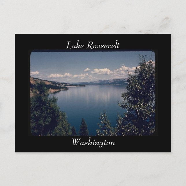 Lake Roosevelt, Washington Postcard (Front)