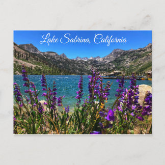 Lake Sabrina California Postcard