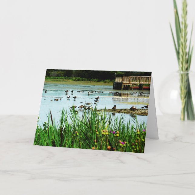 Lake Scene with Cattails Ducks and Dock Card (Front)