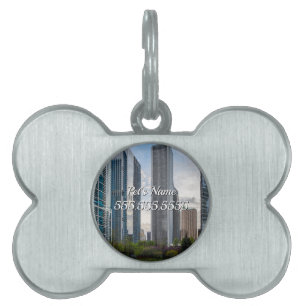 Lake Shore Park Painterly Pet Tag