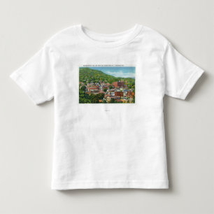 Lake Street Hill View of Business Section Toddler T-Shirt