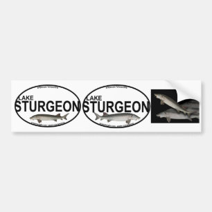 Lake Sturgeon Bumper Stickers