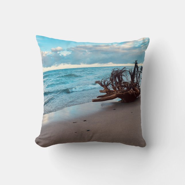 Lake Superior Driftwood roots #2  Cushion (Front)