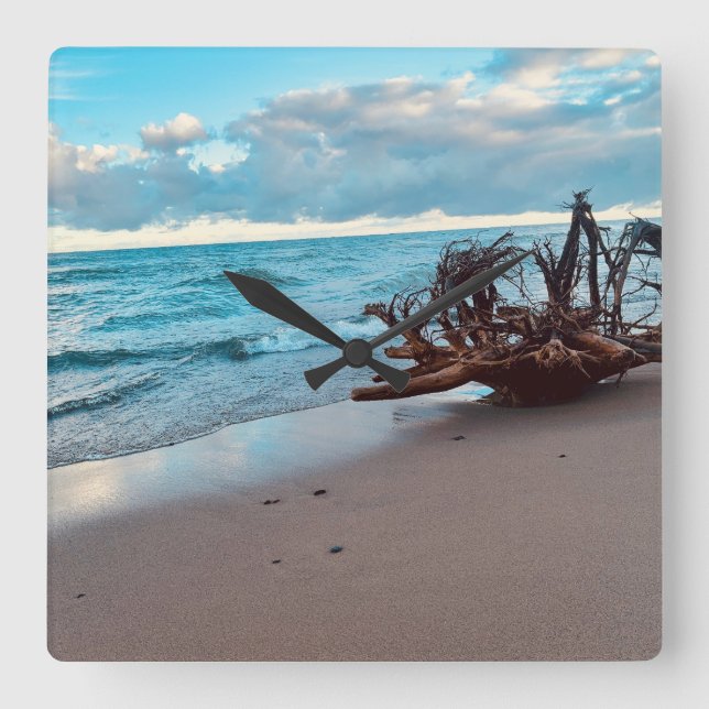 Lake Superior Driftwood roots #2  Square Wall Clock (Front)