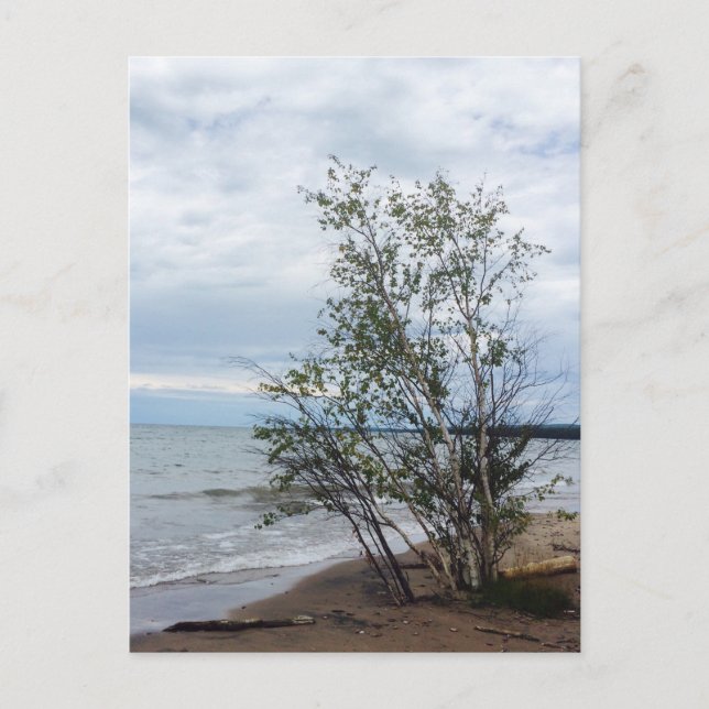 Lake Superior postcard (Front)