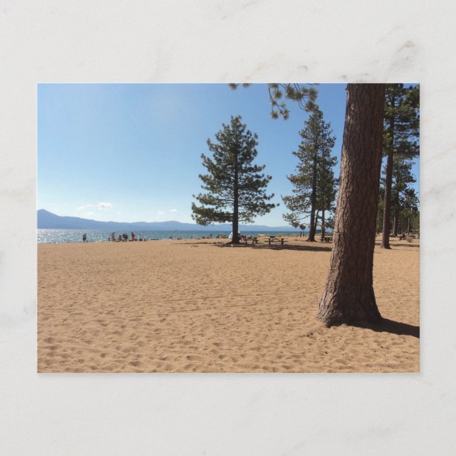 Lake Tahoe Evergreens Postcard (Front)