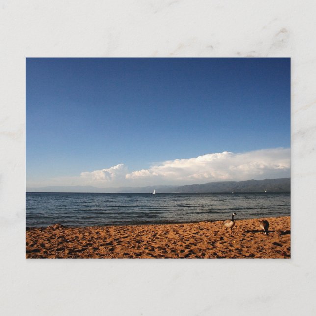 Lake Tahoe Postcard (Front)