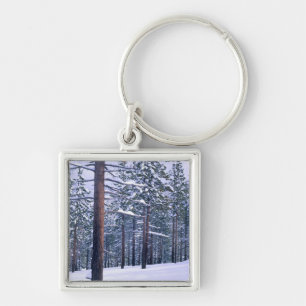LAKE TAHOE STATE PARK, NEVADA. USA. Fresh snow Key Ring
