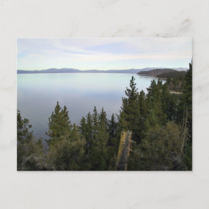 Lake Tahoe with pine trees Postcard