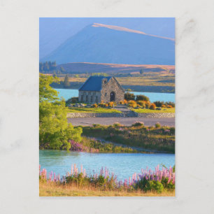 lake-tekapo-517 postcard