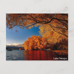 Lake Tepako,New Zealand Postcard