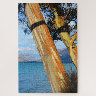lake trees new zealand jigsaw puzzle