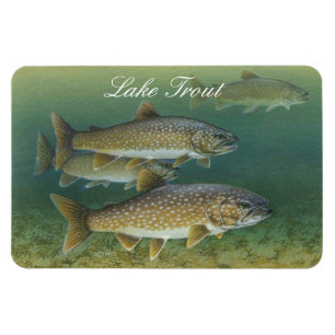 Lake Trout Painting Magnet