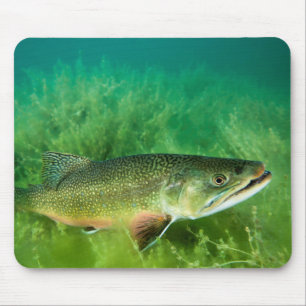 Lake Trout Portrait, Emerald Lake, Montana Mouse Pad