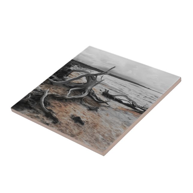 Lake Tyrrell Natural Forces  Ceramic Tile (Side)