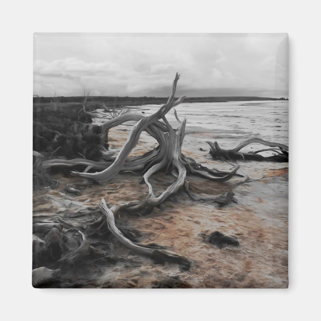 Lake Tyrrell Natural Forces Magnet (Front)