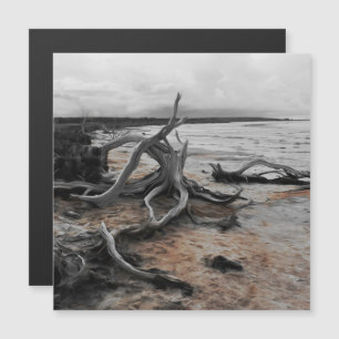 Lake Tyrrell Natural Forces Magnetic Card