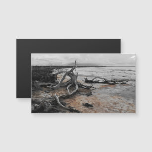 Lake Tyrrell Natural Forces Magnetic Card