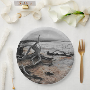Lake Tyrrell Natural Forces Paper Plate