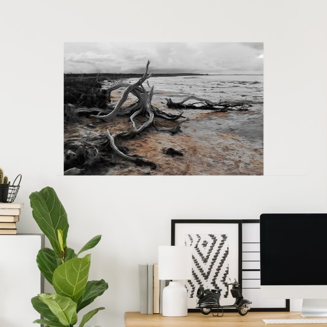 Lake Tyrrell Natural Forces Poster (Home Office)