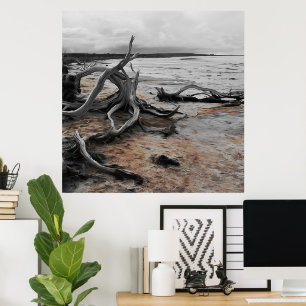 Lake Tyrrell Natural Forces Poster