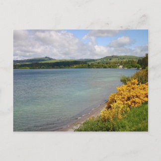 Lake View Postcard