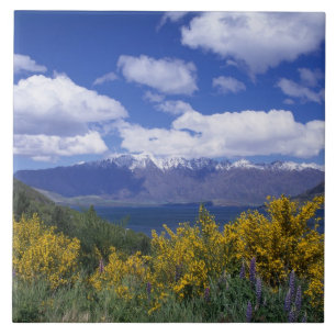 Lake Wakatipu and the Remarkables, Queenstown, Tile