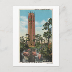 Lake Wales, FL - View of Singing Postcard