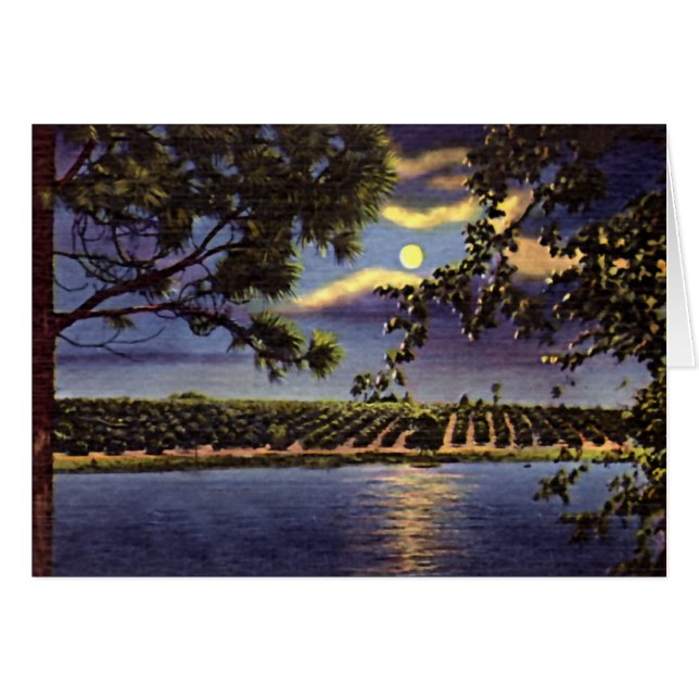 Lake Wales, Florida (Front Horizontal)