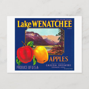 Lake Wenatchee Apple Label (blue) - Cashmere, WA Postcard