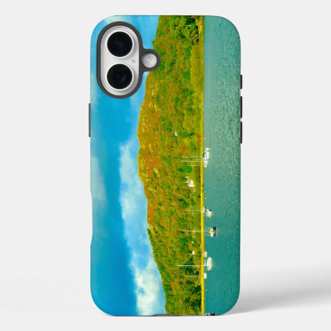 Lake Windermere yachts in Cumbria Case-Mate iPhone Case (Back)