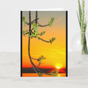 Lake Winnebago Sunset Thinking Of You Card