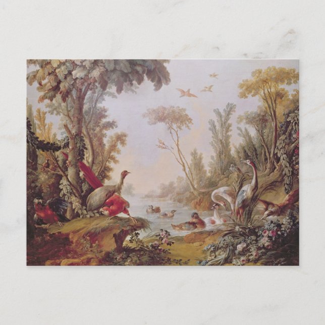 Lake with geese, storks, parrots and herons postcard (Front)