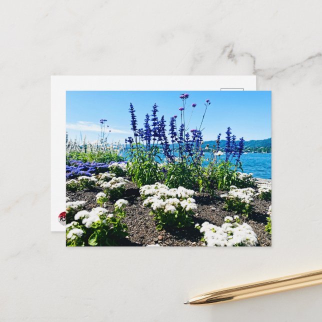 Lake Zurich Flowers Postcard (Front/Back In Situ)