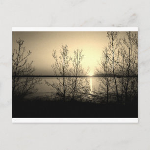 Lakefront trees and sunset postcard
