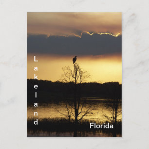 Lakeland Florida Sunset 139 Postcard
