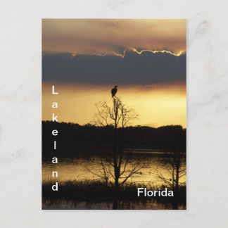 Lakeland Florida Sunset 139 Postcard